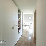 Regina Elena, Luminoso Sulla Calambrone